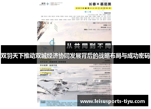 双羽天下推动双城经济协同发展背后的战略布局与成功密码